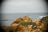 Enlarge photo 218