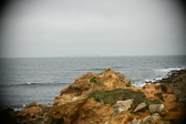 Enlarge photo 219