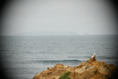 Enlarge photo 220