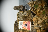 Enlarge photo 223