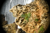 Enlarge photo 225