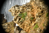 Enlarge photo 226