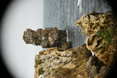 Enlarge photo 227