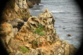 Enlarge photo 229