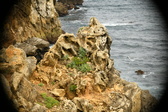Enlarge photo 230