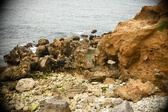 Enlarge photo 231