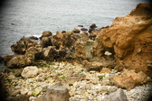 Enlarge photo 232