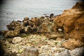 Enlarge photo 233