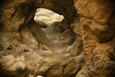 Enlarge photo 236