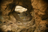 Enlarge photo 237