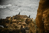 Enlarge photo 241
