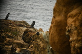 Enlarge photo 242