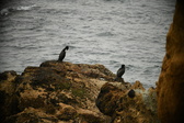 Enlarge photo 243