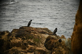 Enlarge photo 244