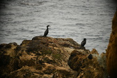 Enlarge photo 245