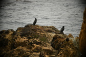 Enlarge photo 247