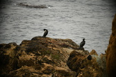Enlarge photo 248