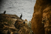 Enlarge photo 250