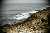Enlarge photo 251