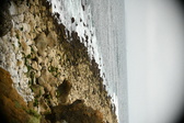 Enlarge photo 252