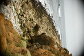 Enlarge photo 255