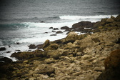 Enlarge photo 257