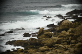 Enlarge photo 259