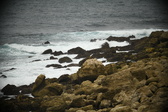 Enlarge photo 261