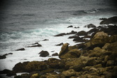 Enlarge photo 262