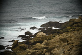 Enlarge photo 263