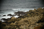 Enlarge photo 264