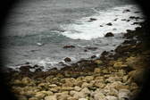 Enlarge photo 265