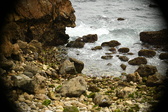 Enlarge photo 267