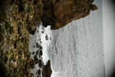 Enlarge photo 268