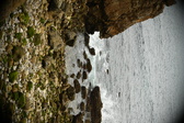 Enlarge photo 269