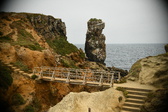 Enlarge photo 270