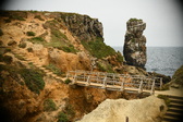 Enlarge photo 272