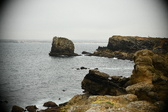 Enlarge photo 273