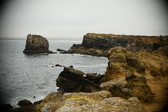 Enlarge photo 274