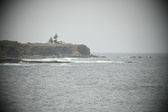 Enlarge photo 279