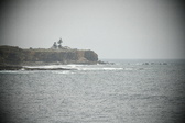 Enlarge photo 280