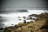 Enlarge photo 281