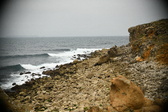 Enlarge photo 282