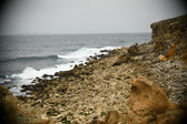 Enlarge photo 283