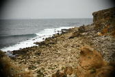 Enlarge photo 284