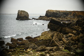 Enlarge photo 286
