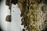 Enlarge photo 287