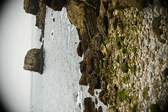 Enlarge photo 288