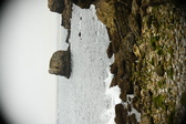 Enlarge photo 289