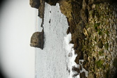 Enlarge photo 290